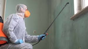 Best Emergency Mold Remediation  in Pen Argyl, PA