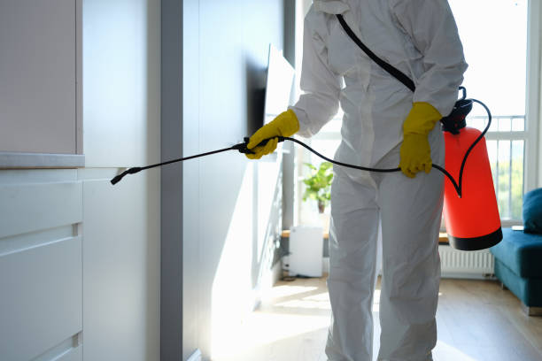 Best Mold Odor Removal Services  in Pen Argyl, PA