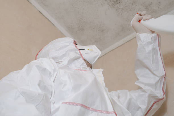 Best Forensic Mold Investigation  in Pen Argyl, PA